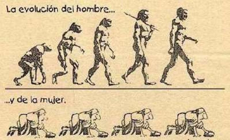 evolucion hombre mujer.jpg